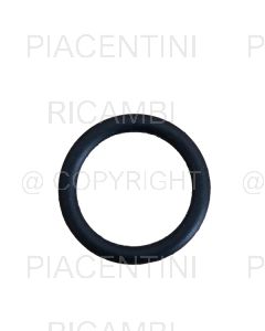 O-RING TAPPO TANICA SP600 S (X